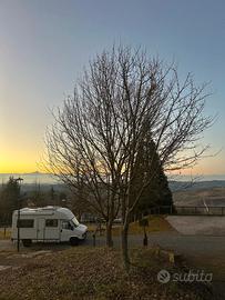 Camper Wingamm oasi 560 del 1993