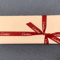 Penna Stilografica Cartier