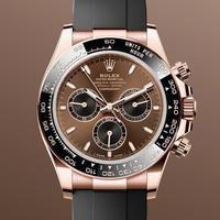 Rolex daytona chocolate 126515LN 2025 new