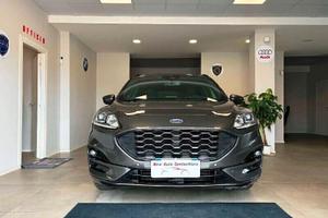 Ford Kuga 1.5 EcoBlue 120 CV aut. ST-Line