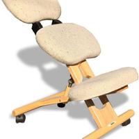 SEDIA ERGONOMICA CON SCHIENALE CINIUS