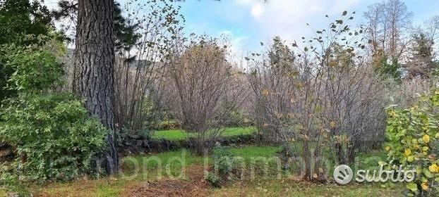 Terreno 10.000 mq con rustici a sant'alfio - Vista 4