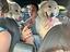 Immagine 4