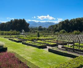 Terreno agricolo