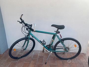 Bicicletta uomo