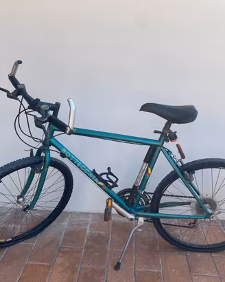 Bicicletta uomo