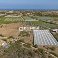 Pula - Loc. Fra Millano - Ampio terreno agricolo