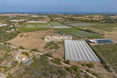 Pula - Loc. Fra Millano - Ampio terreno agricolo