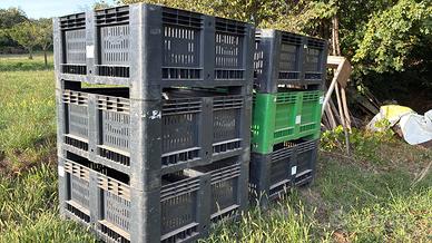 Bins 120x110x40