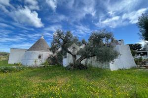 RUSTICO A CISTERNINO