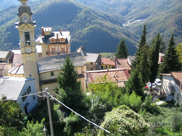 Casa di campagna e terreno
