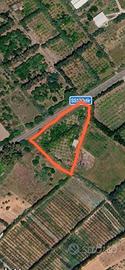 Terreno a San Sperate 