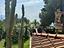 Immagine 19