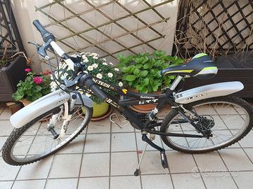 bici silver star raggio 22