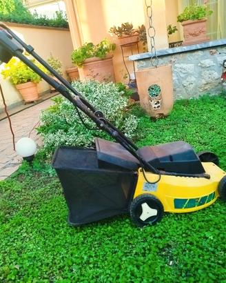 Tagliaerba elettrico 