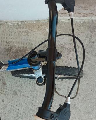 Bici 12"