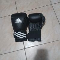 Guantoni da Boxe 