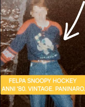 Cer.co la Felpa che vedete in foto. Epoca Paninari