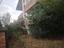Immagine 11