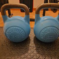 Coppia Kettlebell 12kg Xenios