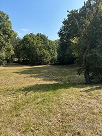 Terreno agricolo in zona di passaggio