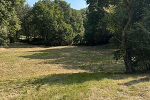 Terreno agricolo in zona di passaggio