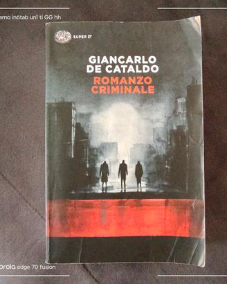 libro " romanzo criminale '