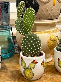 Pianta grassa in vasetto di ceramica fatta a mano