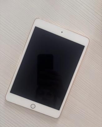 iPad mini 4 (2019) 128 Gb solo wi-fi