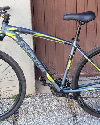 Mountain bike ruote 28 e 29 pollici Esperia