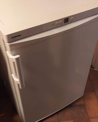 Congelatore Liebherr G1223-20A