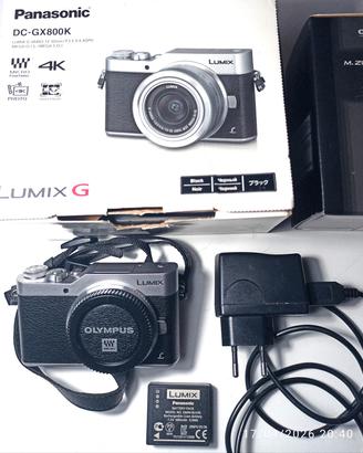 Panasonic LUMIX G GX-800 corpo + Oly  Macro 30/3,5