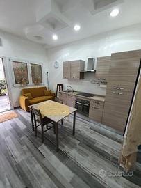 Monolocale 40mq arredato via Triumvirato/via Emili