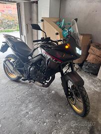transalp 750 2025