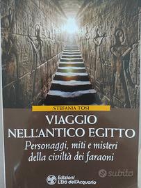 viaggio nell' antico Egitto 