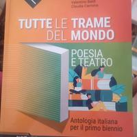 Tutte le trame del mondo, poesia