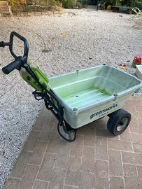 Cariola elettrica greenworks