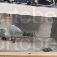 Codice: 268325 ACQUARIO JUWELL COMPLETO DI FILTRO