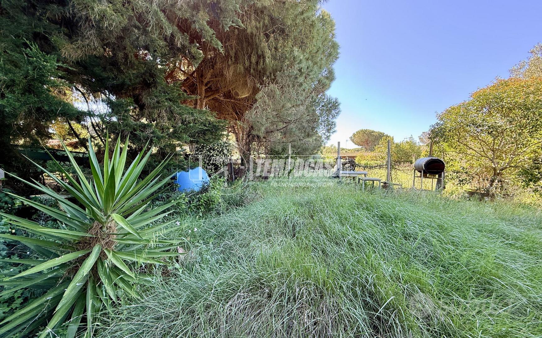 Terreno di 700 mq pianeggiante - Vista 2