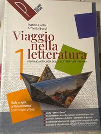 Libro di testo viaggio nella letteratura 1