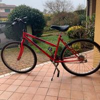Bicicletta Lignano
