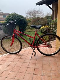 Bicicletta Lignano