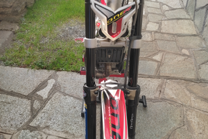 Trial TRS 300