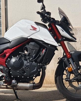 Honda Hornet