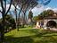 Immagine 7