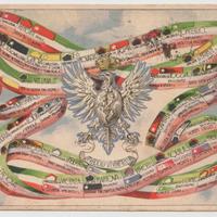 Cartolina orig. italiana arma Cavalleria medaglia