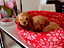 Immagine 23