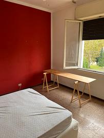 2 stanze singole a Rovigo