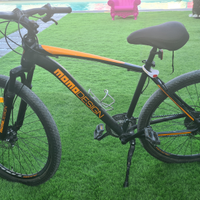Mountain bike