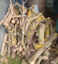 legna di ulivo da ardere tagliata